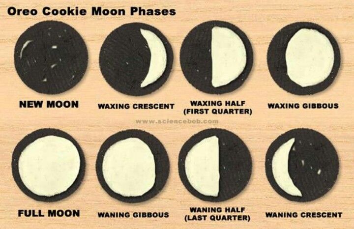 Snack on the moon