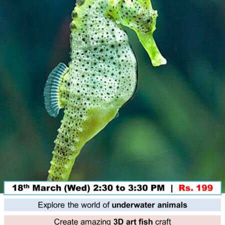 🌊 Marine Adventures (18th Mar- Wednesday)